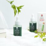 Hình ảnh minh hoạ