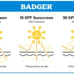 Hình ảnh minh họa