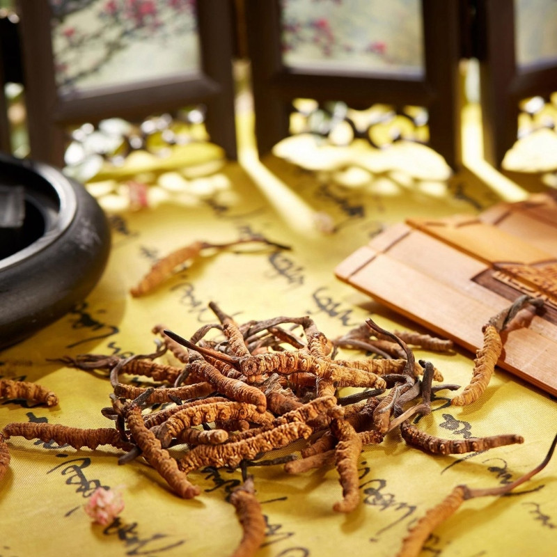 Suy thận có uống được đông trùng hạ thảo không?